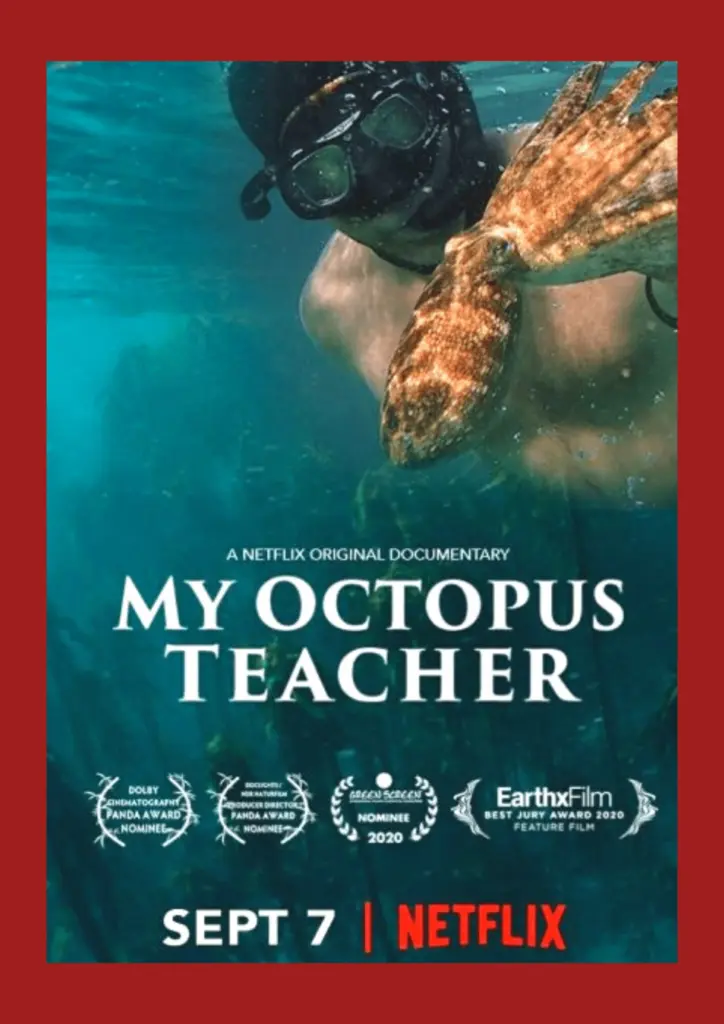 Haftanın Belgeseli My Octopus Teacher